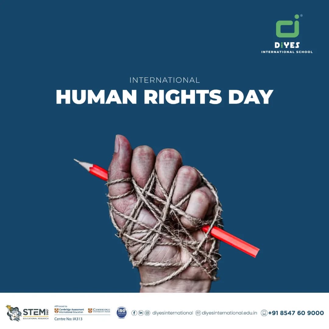 Honoring Human Rights Day: A Call to Action for Equality, Justice, and Freedom