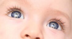 Child’s Eye Health and Vision