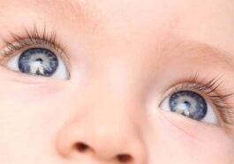 Child’s Eye Health and Vision