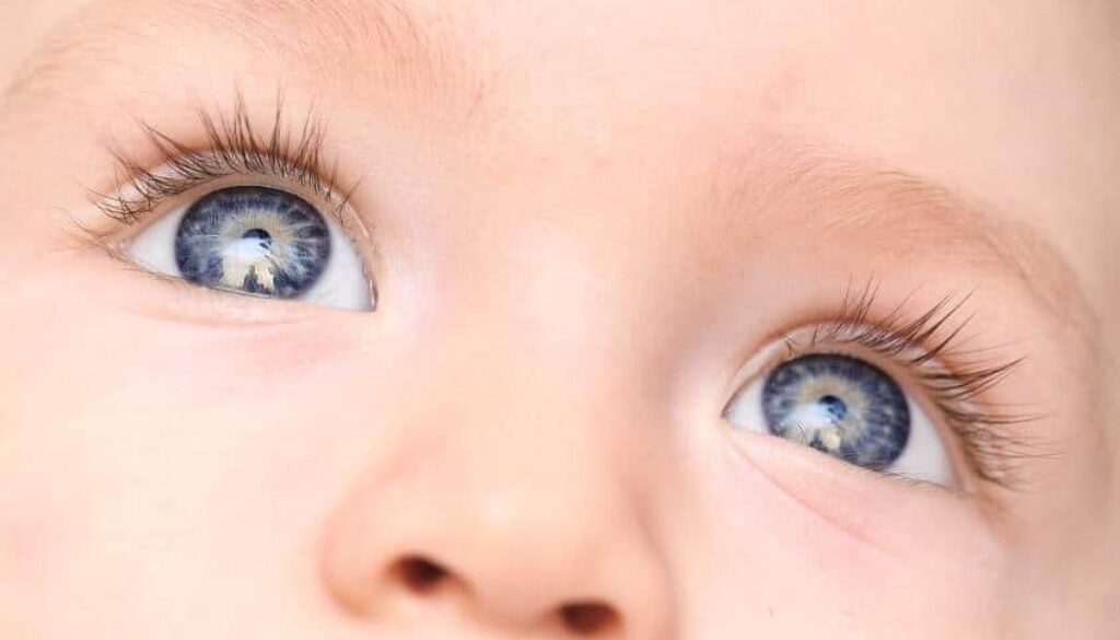 Child’s Eye Health and Vision