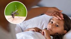 Dengue Prevention for Kids