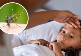 Dengue Prevention for Kids