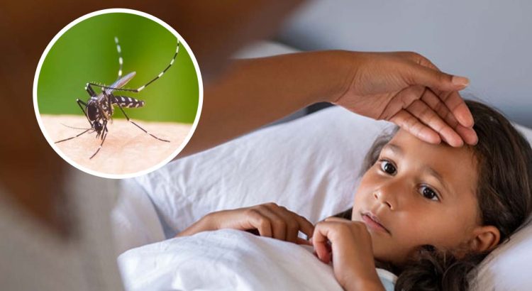 Dengue Prevention for Kids