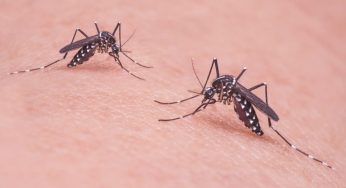 Warning! Don’t Ignore These Chikungunya Symptoms Before It’s Too Late