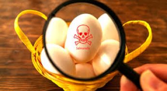 Salmonella Outbreak Eggs: 95 People Sick Since January, Is Your Breakfast to Blame?