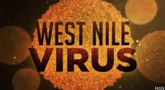 West Nile Virus