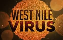 West Nile Virus