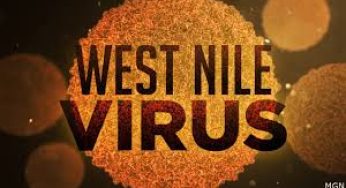 Parents Beware: West Nile Virus Strikes Children in New Alarming Outbreak!