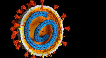 Health Alert: Rare Deadly Virus Threatens LA County