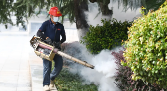 New York on High Alert: First Local Chikungunya Virus Case Confirmed!